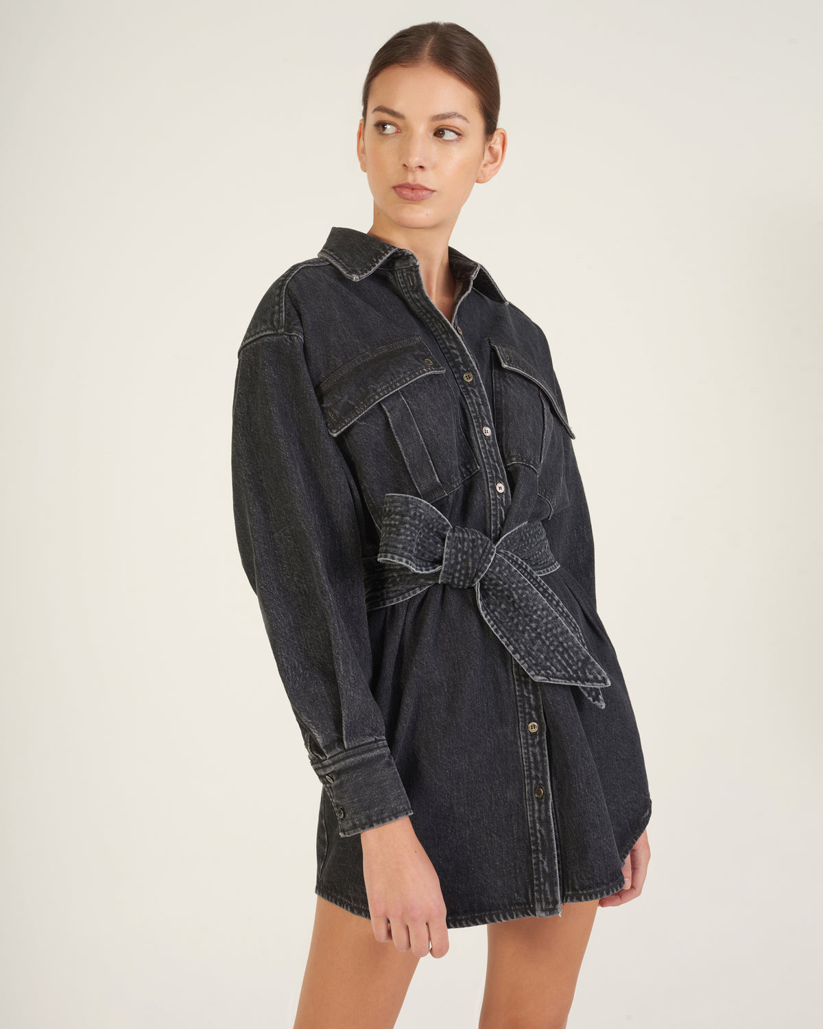 Skylar Denim Tunic Dress